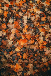6335 - Product Image